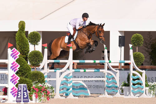 Rodrigo pessoa is back in the saddle