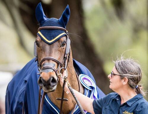 CSI2* events are to be re-included in the Invitation System as of 1 ...